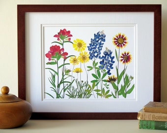 Pressed flower art print, 11x14 double matted, Texas wildflowers, Bluebonnet flowers and more, botanical wall art, gift for Texan, no. 0067