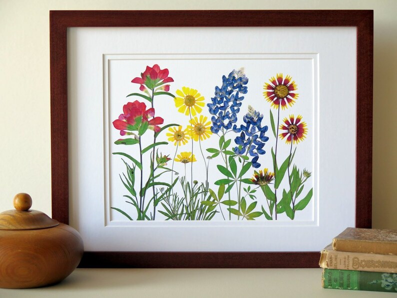 Pressed flower art print, 11x14 double matted, Texas wildflowers, Bluebonnet flowers and more, botanical wall art, gift for Texan, no. 0067 image 1