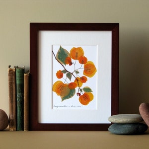 Pressed flower art, 8 x 10 matted, Bougainvillea blooms, flat flower designs, Apricot, botanical wall hanging art no. 066 image 2