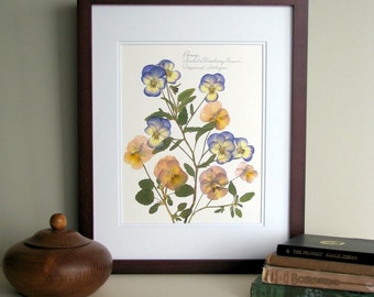 Pressed flower print, 11x14 double matted, Pansy Viola, pressed pansies, gallery wall, nature lover gift idea, botanical wall decor no. 0015