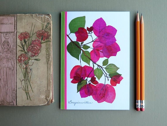Carte Avec Fleur Bougainvillier Carte De Voeux Avec Des Fleurs Des Bougainvillées Carte De Voeux De La Nature Design Fait Main Carte No1172