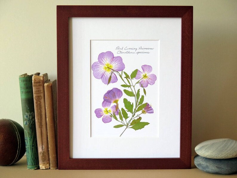 Pressed Flower Print 8 X 10 Matted Evening Etsy