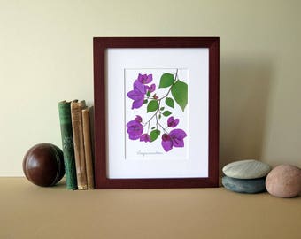 Pressed flowers art print, 8"x 10" matted, Bougainvillea flowers, floral art print, botanical print, colorful flower art, no. 089