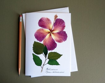 Pressed flower greeting card, Hibiscus flower, card no.1202