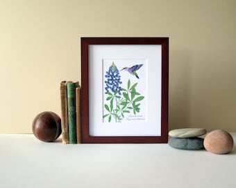 Pressed flower print, 8" x 10" matted, Bluebonnet flower botanical print, hummingbird art, gift for a Texan, Texas wall hanging no.003