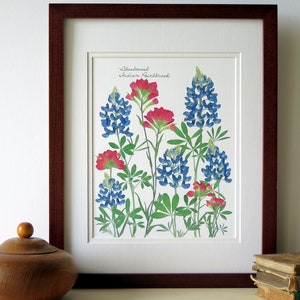 Pressed flower print artwork, Bluebonnets, Indian Paintbrush, Texan gift, Texas wildflowers, 11x14 double matted, wall decor no. 0077