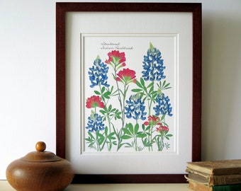 Pressed flower print artwork, Bluebonnets, Indian Paintbrush, Texan gift, Texas wildflowers, 11x14 double matted, wall decor no. 0077