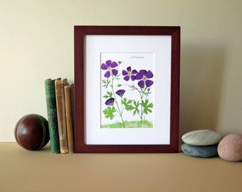 Pressed flowers print, 8" x 10" matted, Winecup wildflowers, botanical art print, flat flower designs, Texas flowers, botanical art no. 088