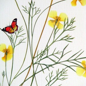 California Poppy flowers with tiny butterflies, yellow and green, botanical card, pressed flowers, pressed poppies, greeting card, no.1157 image 3