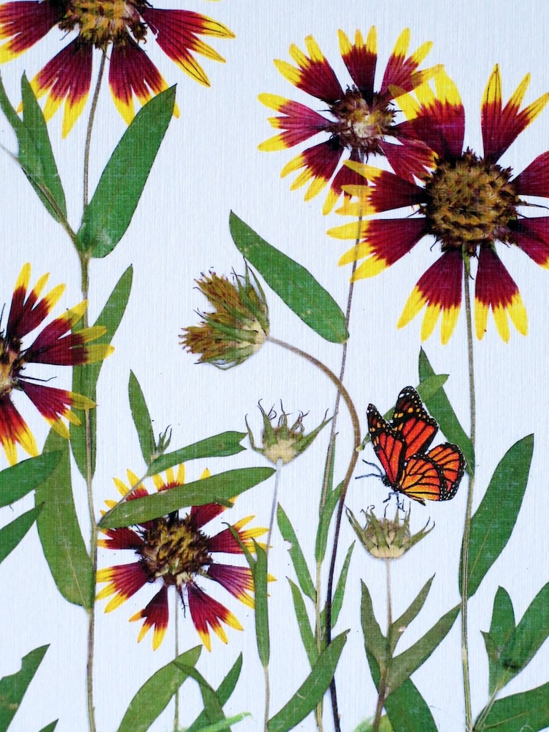 Pressed Flower Print 8 X 10 Matted Indian Etsy