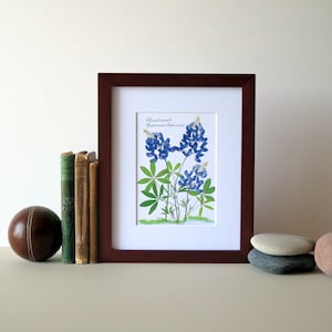 Pressed flower print, 8 x 10 matted, Texas Bluebonnets, Bluebonnet wildflowers, home and garden, botanical art, no. 002 image 1