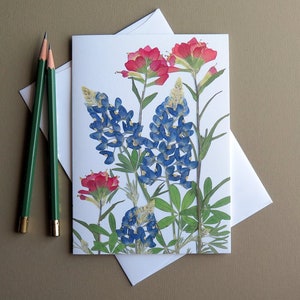 Texas Bluebonnets and Indian Paintbrush pressed flowers image card, wildflowers, Austin, gift for Texan, greeting card no.1031