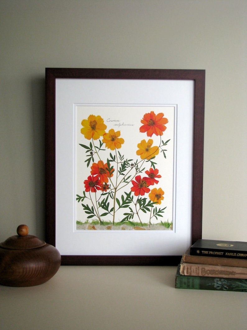 Pressed Flowers Print 11x14 Double Matted Cosmos Flowers Etsy