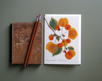 Apricot Bougainvillea pressed flower greeting card, Bougainvillea with green leaves, no.1188