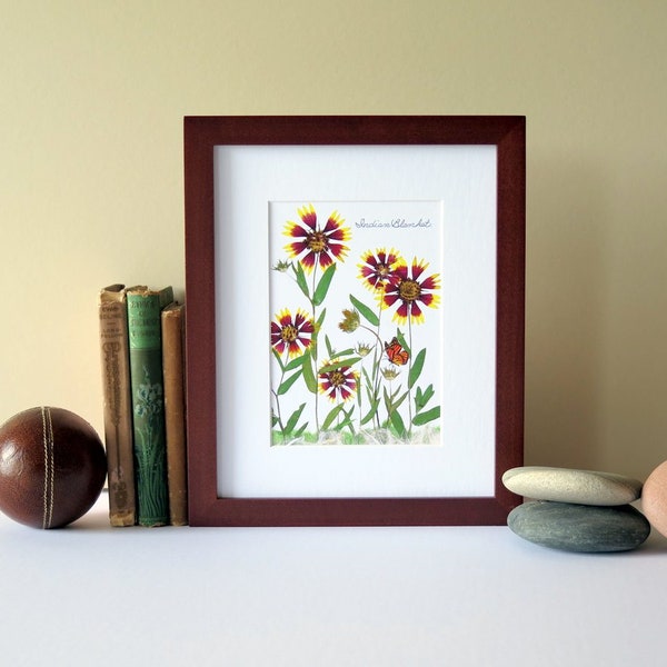 Indian Blanket Flower Art - Etsy