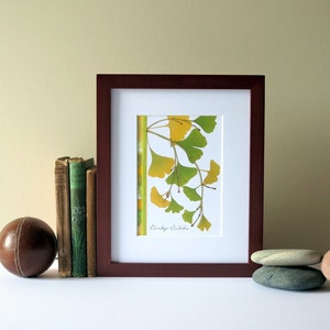 Pressed leaves print, 8&quot; x 10&quot; matted, Ginkgo leaves, green leaf, pressed leaves, botanical, Ginkgo wall art, no. 018