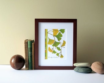 Pressed leaves print, 8" x 10" matted, Ginkgo leaves, green leaf, pressed leaves, botanical, Ginkgo wall art, no. 018