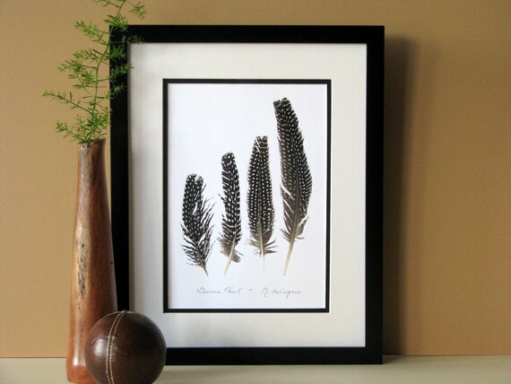 Hand and Quill Pen For sale as Framed Prints, Photos, Wall Art and Photo  Gifts