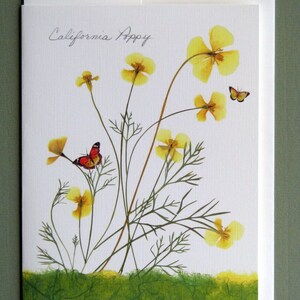 California Poppy flowers with tiny butterflies, yellow and green, botanical card, pressed flowers, pressed poppies, greeting card, no.1157 image 5