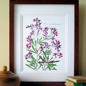 Pressed flower print, 11x14 double matted Gaura Lindheimeri flowers, botanical wall decor no. 0041