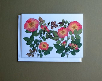 Peach Drift Roses, pressed flowers card, botanical card, floral note card, rose, Etsy greeting card, no.1147