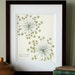 see more listings in the Botanical prints 11x14 section