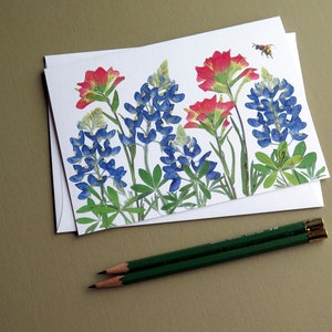 Texas Bluebonnets and Indian Paintbrush pressed flowers card, wildflowers, Austin, gift for Texan, bee, greeting card no.1187 image 4