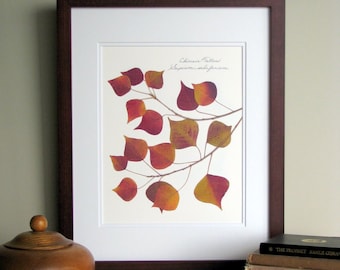 Pressed leaves print, 11x14 double matted, Chinese Tallow leaves, rust fall leaves, botanical wall decor no. 0056