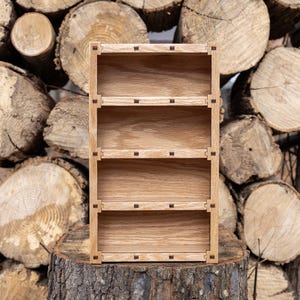 Sunglass and Eyeglass Shelf (4 pairs)