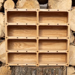 Sunglass and Eyeglass Shelf (8 pairs)