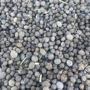 Rabbit Manure for Garden - Etsy