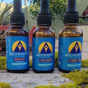 Könnte beinhalten: Drei Glasflaschen mit Tropfern, die Pilzextrakte enthalten. Die Flaschen sind mit "Alchemists Farms" beschriftet und zeigen verschiedene Pilzsorten: Cordyceps, Löwenmähne und Truthahn-Schwanz. Jede Flasche enthält 30 ml.