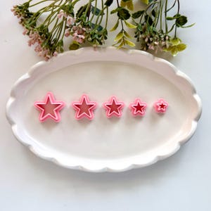 May include: Five pink star-shaped cookie cutters of different sizes are displayed on a white, oval plate with a scalloped edge. The cutters have a double-lined design. Floral sprigs in green and pink are in the background.