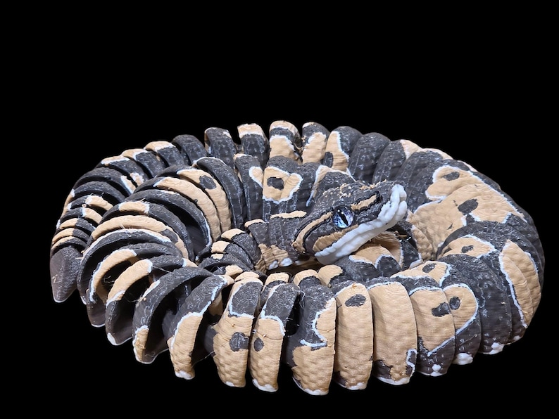 May include: A coiled snake with a black, tan, and gray pattern. The snake's head is visible, featuring blue eyes and a light-colored snout. The background is solid black, emphasizing the snake's detailed scales and markings.