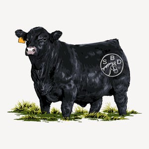 May include: An illustration of a black bull with a yellow ear tag, standing on green grass. A white circular logo with a horse head and the letters "SBD" is on the bull's side. The bull has a pink nose and is set against a white background.