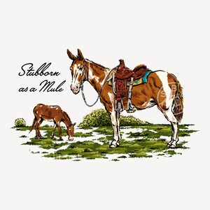 May include: An illustration of two mules in a grassy field. One mule is saddled and standing, while the other is grazing. The text "Stubborn as a Mule" is written in cursive.