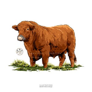 May include: A digital illustration of a solid brown bull standing in a patch of green grass. The bull is depicted in profile facing left. A circular logo with the letters SBD and a horse head icon is visible, along with text Sabrina Bua Designs.