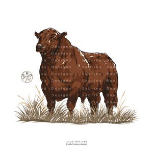 Röd Angus-tjur, nötkreatursillustration, transparent PNG digital nedladdning