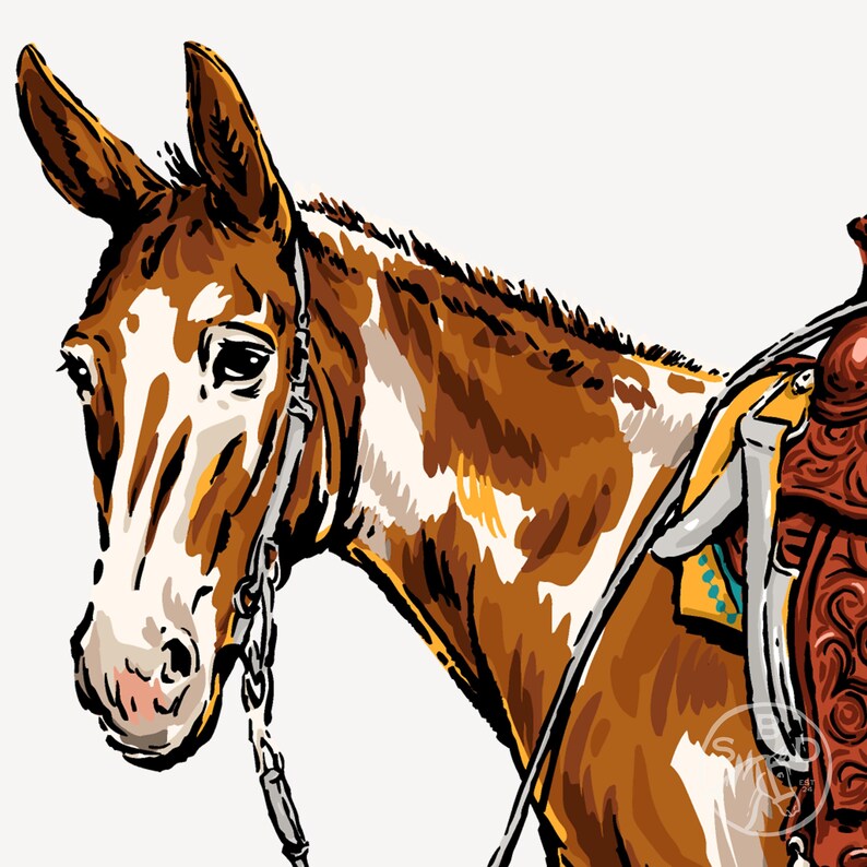 May include: Illustration of a brown and white mule with a saddle. The mule's head is turned slightly to the left, showing its face and part of its neck. The saddle is brown with yellow and blue accents.