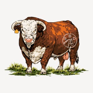 Hereford Bull, Western Design, Cattle Graphic, Livestock Clipart, Retro Vintage Shirt Graphic, Transparent SVG, PNG Digital Download
