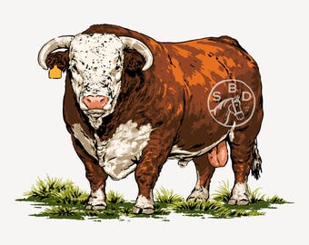 Hereford Bull, Western Design, Cattle Graphic, Livestock Clipart, Retro Vintage Shirt Graphic, Transparent SVG, PNG Digital Download