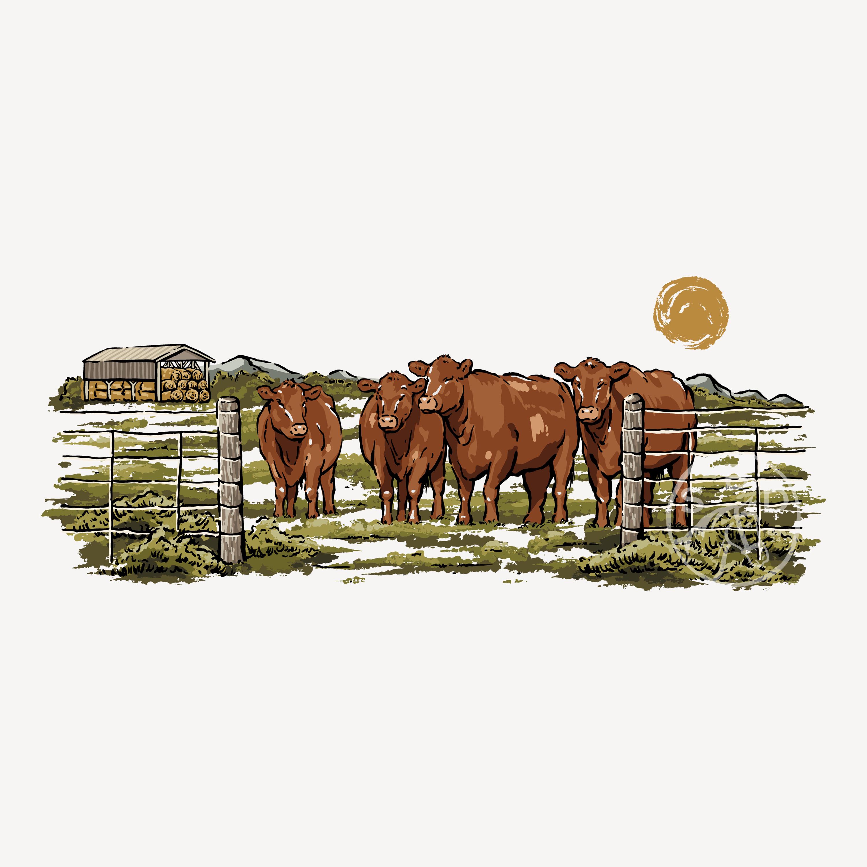 Red Angus on the Pasture, Western Design, Red Cattle Graphic, Retro ...