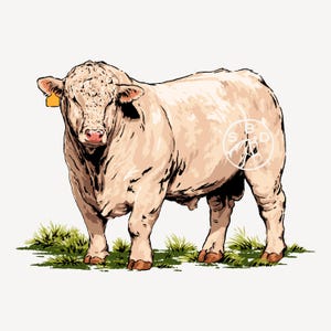 May include: A digital illustration of a light beige bull with a yellow ear tag, standing on green grass. The bull has a muscular build and is facing forward. A logo is visible on the bull's side.