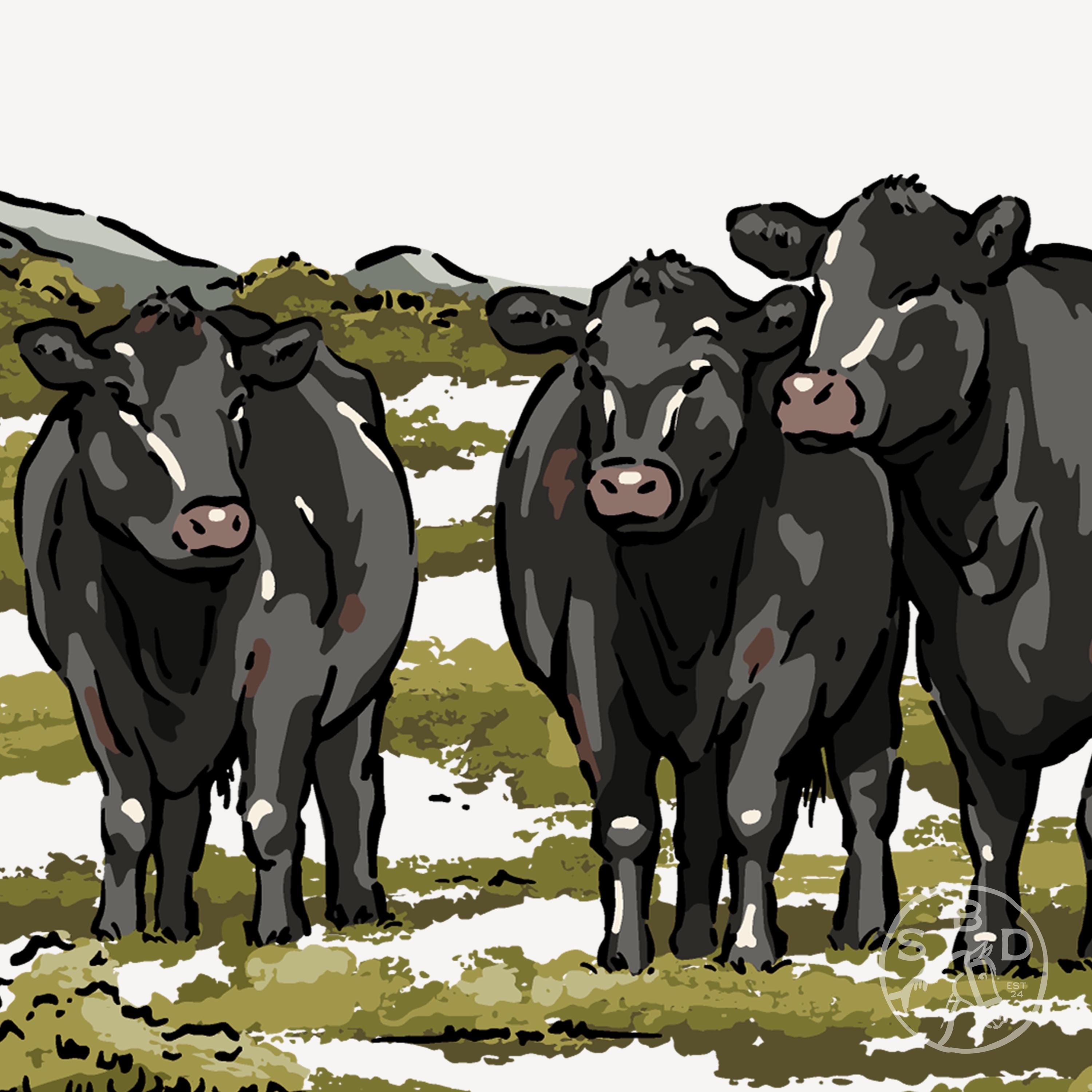 Black Angus on the Pasture, Western Design, Black Cattle Graphic, Retro ...