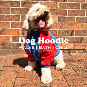 Soul Surfer Dog Hoodie with Free Tote Bag: 60s-70s Style Cotton Jumper