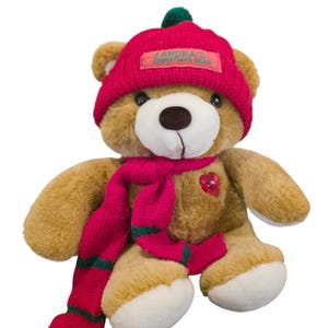 May include: A tan plush teddy bear wearing a red knit hat with a green pom-pom and a red scarf with green stripes. The hat features a rectangular patch with the text ZANDRA'S CHRISTMAS BEAR. A small red heart-shaped embellishment is on the chest.