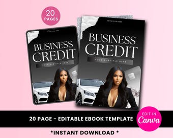 Business Credit Guide + Credit Repair eBook, Editable PLR MRR Template, Step-by-Step Small Business Finance Funding Guide, Digital Download