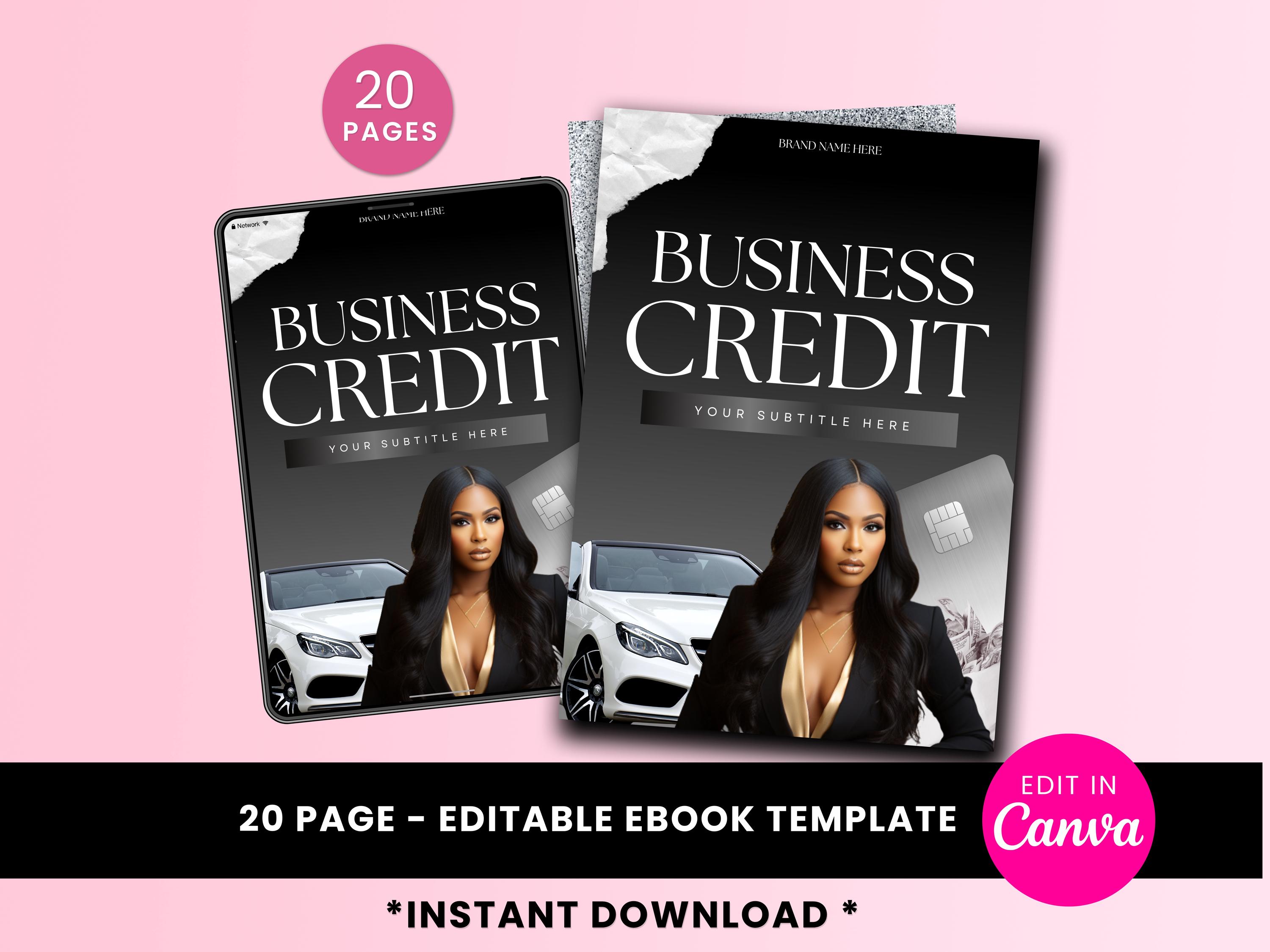 Business Credit Guide + Credit Repair eBook, Editable PLR MRR Template, Step-by-Step Small Business Finance Funding Guide, Digital Download
