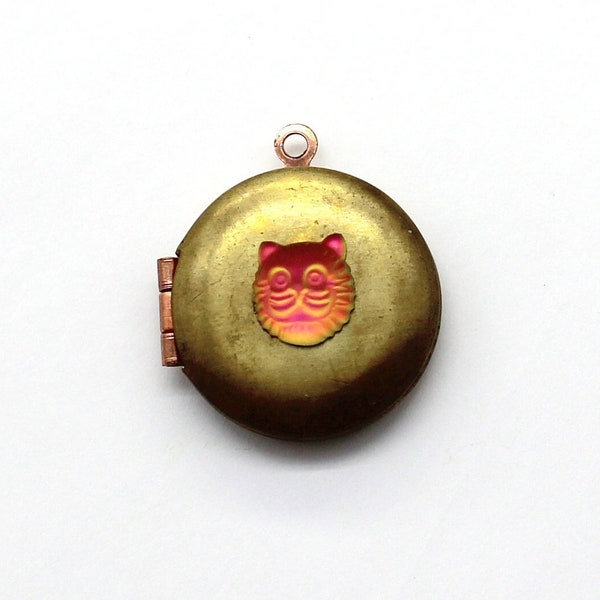 Tiny Vintage Brass Locket W/ Glass Vitrail Kitty Head