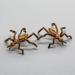 Unusual Oxidized Brass Bug Finding